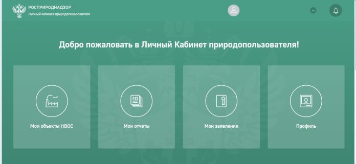 Рпн личный кабинет природопользователя через какой браузер